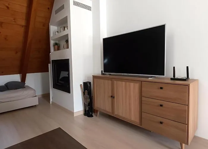 Apartamento Centro De Sallent Con Wifi